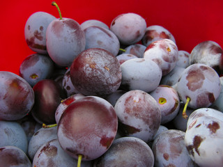 Plums2