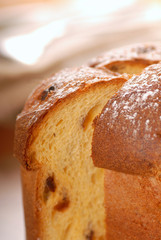 Italian Panettone Bread