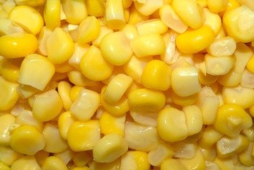 yellow sweetcorn texture