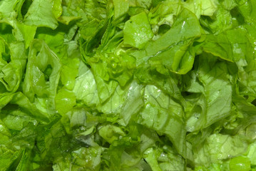 lettuce lettuce texture