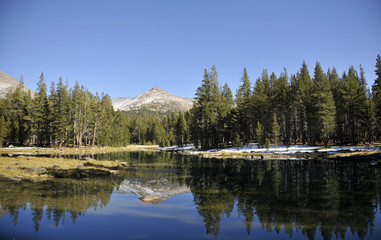 yosemite collection 11