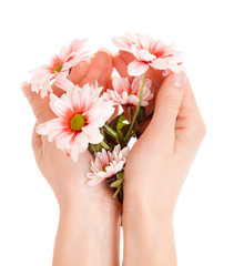 Flowers in hands