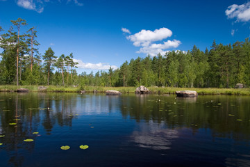 Obraz na płótnie Canvas Summer forest lake reflections