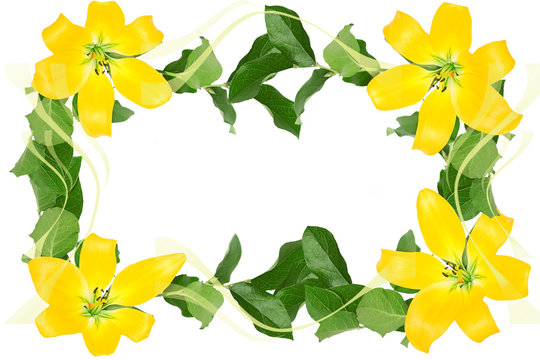 Frame of flowers and leaves