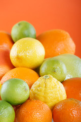 .Citrus collection