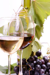 wine in glass