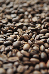 Kaffeebohnen