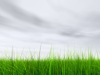Fototapeta premium green grass over a blue sky with white clouds as background