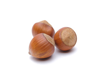 Hazelnuts