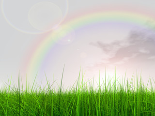 Obraz premium 3D black soccer ball,green grass,sky ,clouds and rainbow