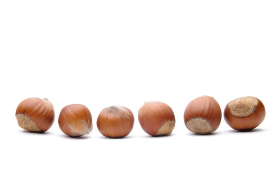 Hazelnuts