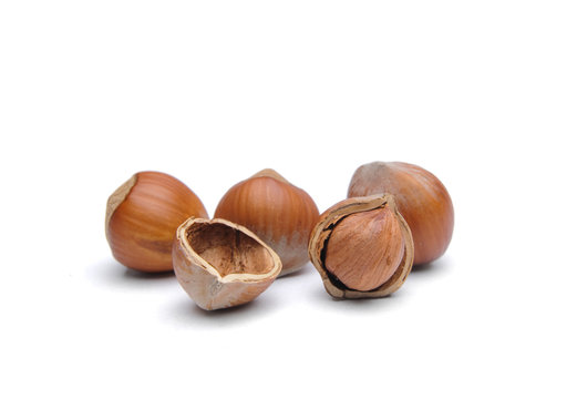 Hazelnuts