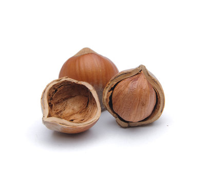 Hazelnuts