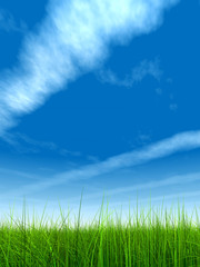 Obraz na płótnie Canvas green grass over a blue sky with clouds and plane trails