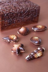 belgische pralinen