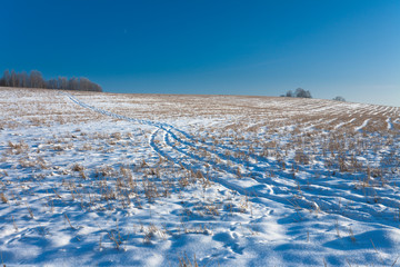 Winter Field Road