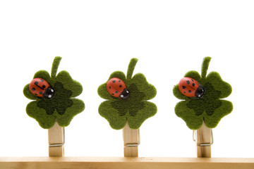 Marienkäfer