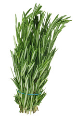 Fototapeta premium Tarragon heap