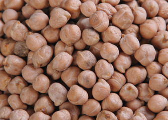 Nut pea brown