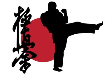 Karate kick © Konstantin Ribarov