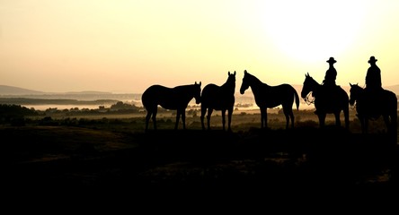 cowboy and sunrise