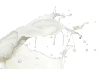 Printed kitchen splashbacks Milkshake milk milkshake