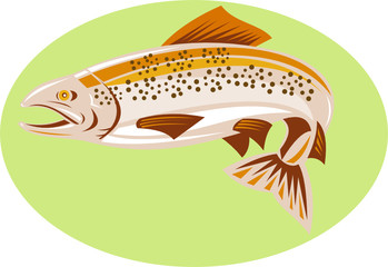 Spotted trout
