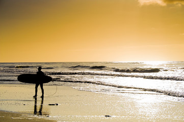 Surfer's Paradiese