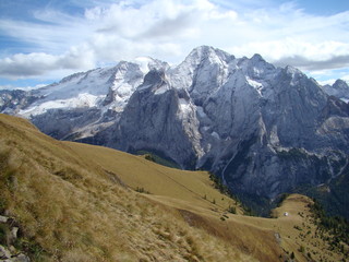 alpejskie pastwiska - obrazy, fototapety, plakaty