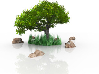 arbre et rochers