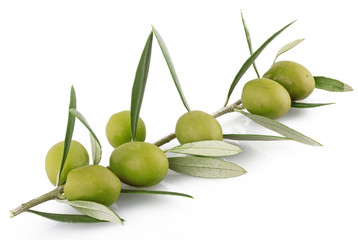 Olive 31 b