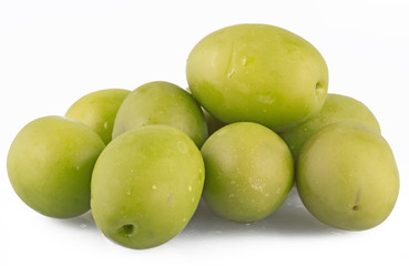 Olive 36 b