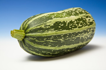 Whole marrow  on  blue studio background studio background.
