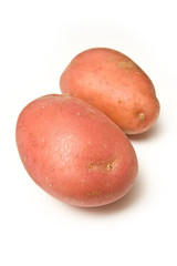 Red rooster potatoes isolated on a white studio background.