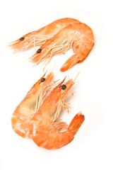 Crevettes, cooked prawns (shrimp)