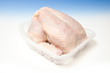 Whole raw chicken with a graduated blue studio background.