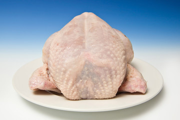 Whole raw chicken with a graduated blue studio background.