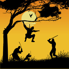 ninja silhouettes © Emir Simsek