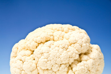 caulliflower on a graduated blue studio background.