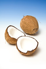 Coconuts on a graduated blue studio background.