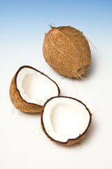 Coconuts on a graduated blue studio background.