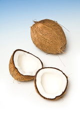 Coconuts on a graduated blue studio background.