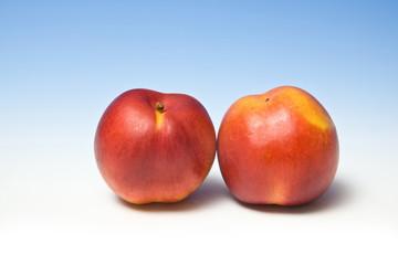 Nectarines on a blue studio background.