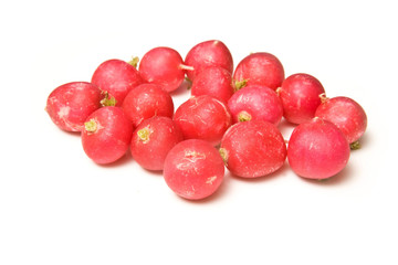 Radishes isolated on a white studio background.