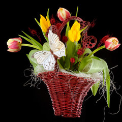 Spring flowers