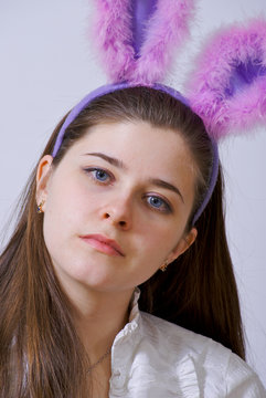 Purple ears bunny