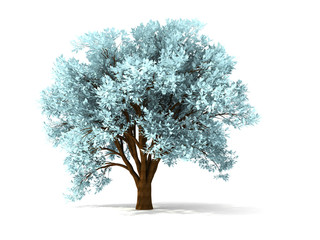 Fototapeta premium 3d wintry tree
