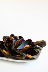 Cooked mussels