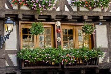 Fenster