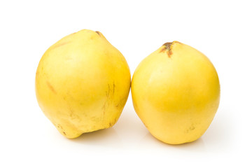 Quince isolated on a white studio background.
